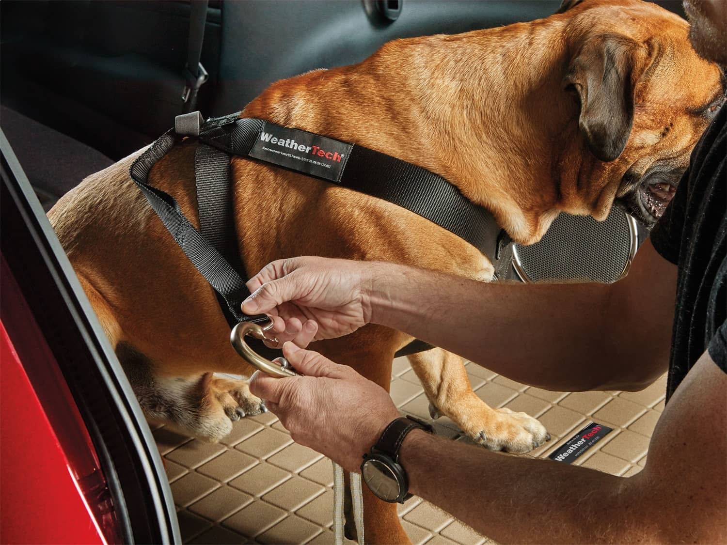 Weathertech - 84PH2427BK - Pet Restraint